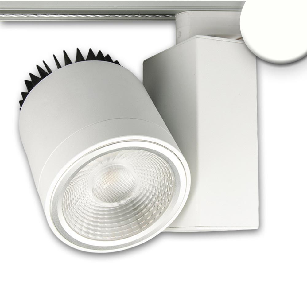 3 phases Spotlight du luminaire de Butcher de viande 40W 30 ° -50 ° blanc