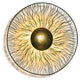 Wandleuchte 6-flammig Valentina Due Eisen Gold-Braun-Schwarz in modernem Design mit kunstvoller Lichtausstrahlung.