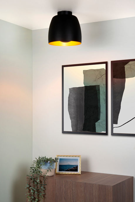 Plafonnier Nolan demi-rond Ø 24cm noir (1)