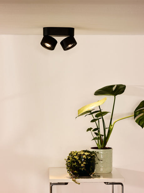 LED-Deckenspot Yumiko 2-flammig dimmbar (1)