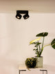 LED-Deckenspot Yumiko 2-flammig dimmbar (1)