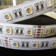 5m LED Strip 19, 2 W/M RGB + Warm White 24V IP63