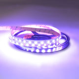 19,2 w/m RGBW White White 24V 5M Strip LED IP20