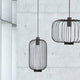 Cages M Gitter-Pendelleuchte 30cm Schwarz im modernen Raum, stilvolles Drahtgestell mit Kabel.