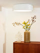 LED-plafón Talowe regulable Ø 45,5cm (1)