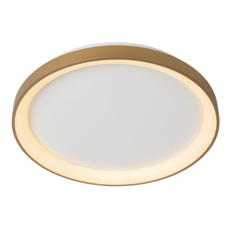 LED-Plafón Vidal regulable Ø 48cm (1)