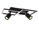 Arianne ceiling light 2-light swivel CCT 3300-4000K Black (4)