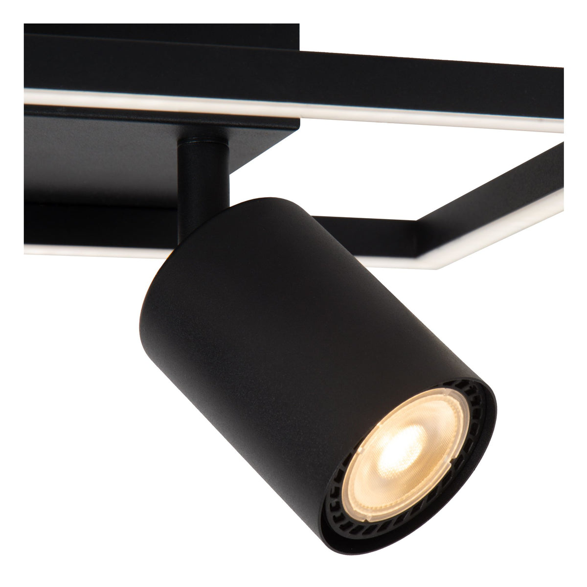 Arianne ceiling light 2-light swivel CCT 3300-4000K Black (5)