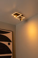 Arianne ceiling light 2-light swivel CCT 3300-4000K Black (1)
