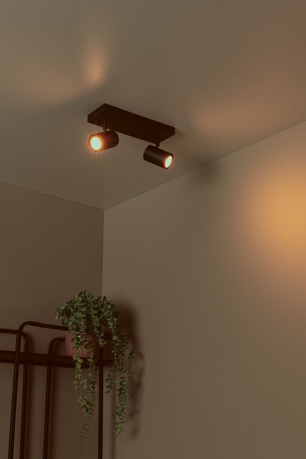 Faretto da soffitto Amigo a 2 luci ruotabile e orientabile (3)