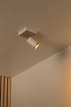 Deckenspot Regina 1-flammig schwenkbar Taupe (1)