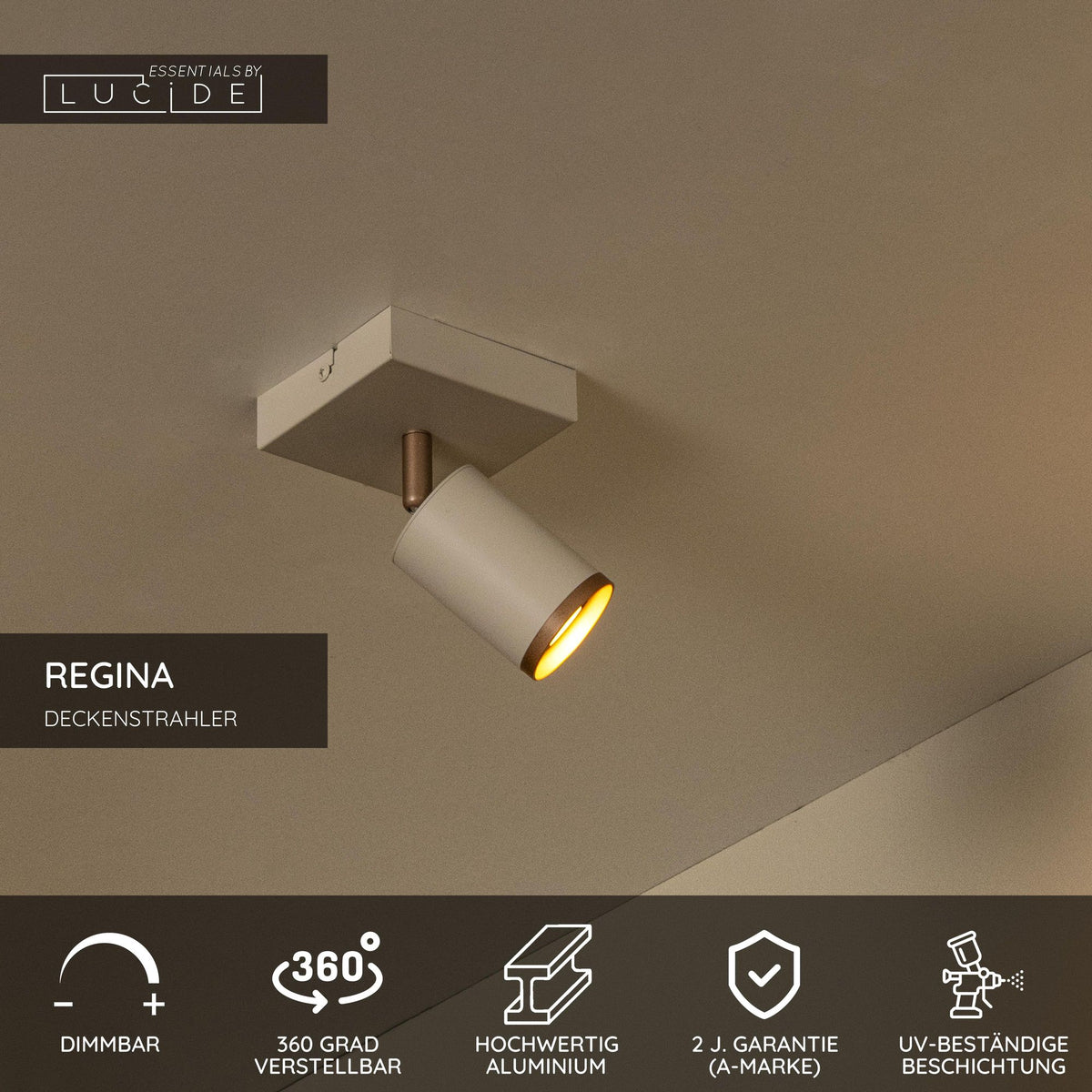 Deckenspot Regina 1-flammig schwenkbar Taupe (3)