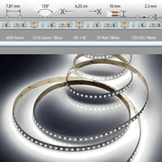 Ruban 5m LED-Strip 20 W/m CRI 82 blanc froid IP20 avec CRI élevé, 6000K, SMD 2835 et montage simple.