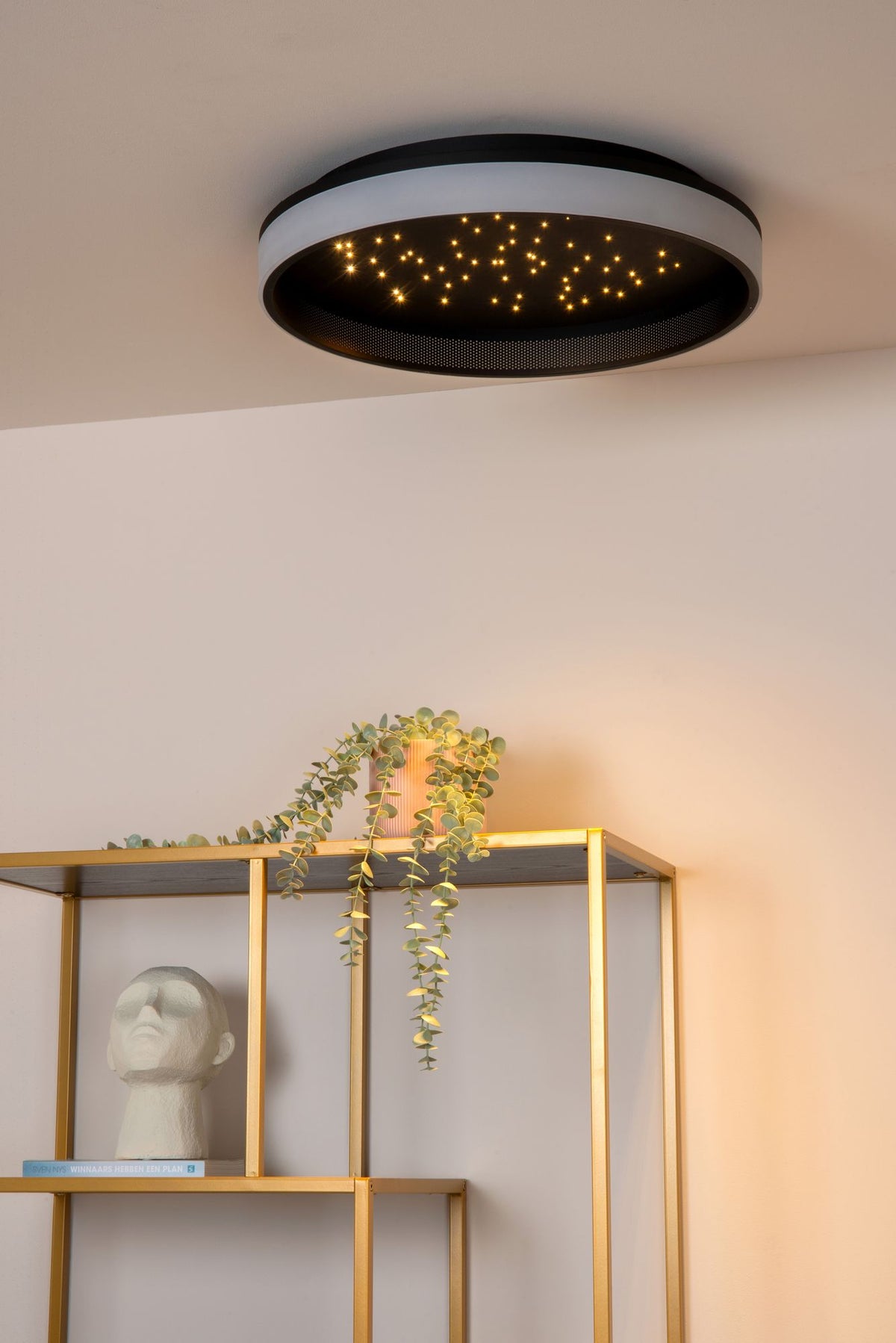 LED-Deckenleuchte Estreja 3-stufig dimmbar CCT 2500-3000K Ø40cm (3)