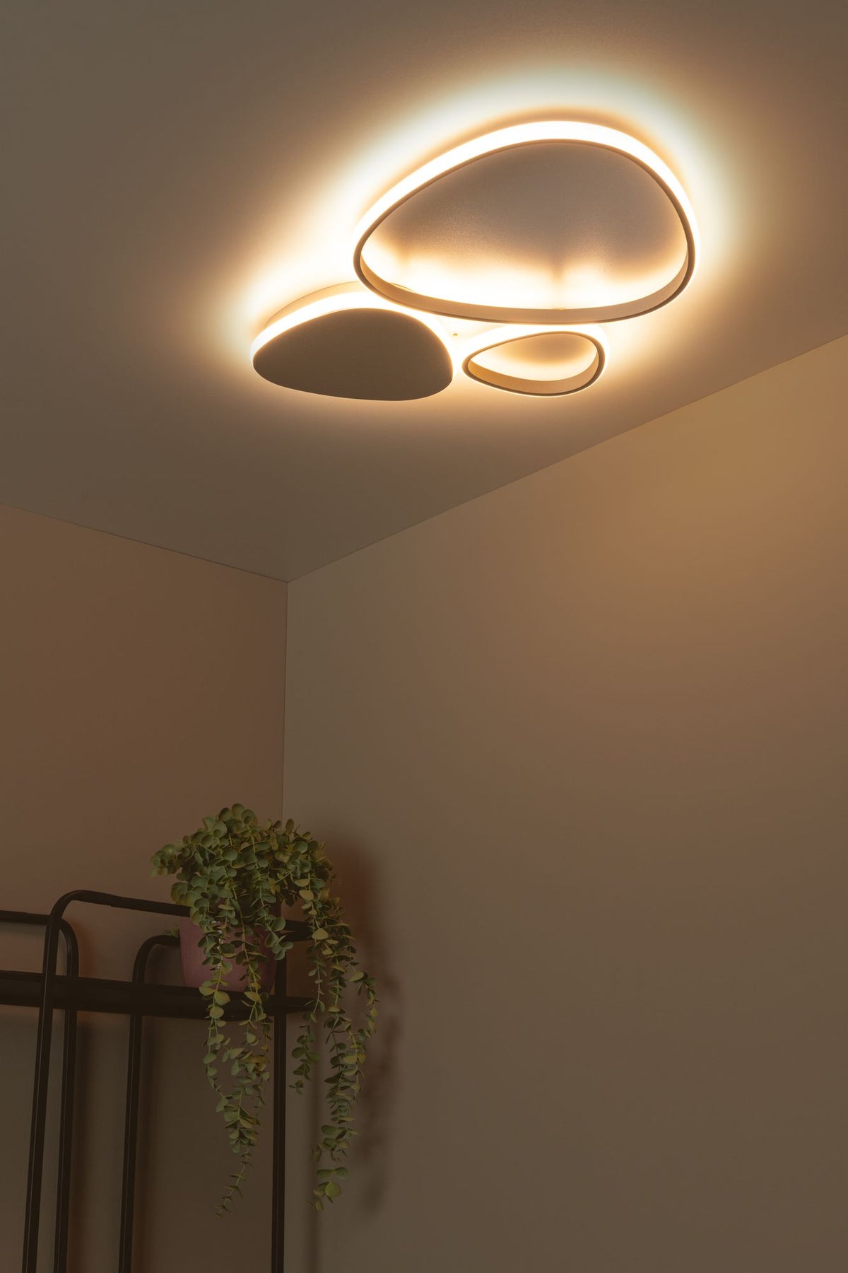 LED-Deckenleuchte Samling dimmbar CCT 62cm (1)