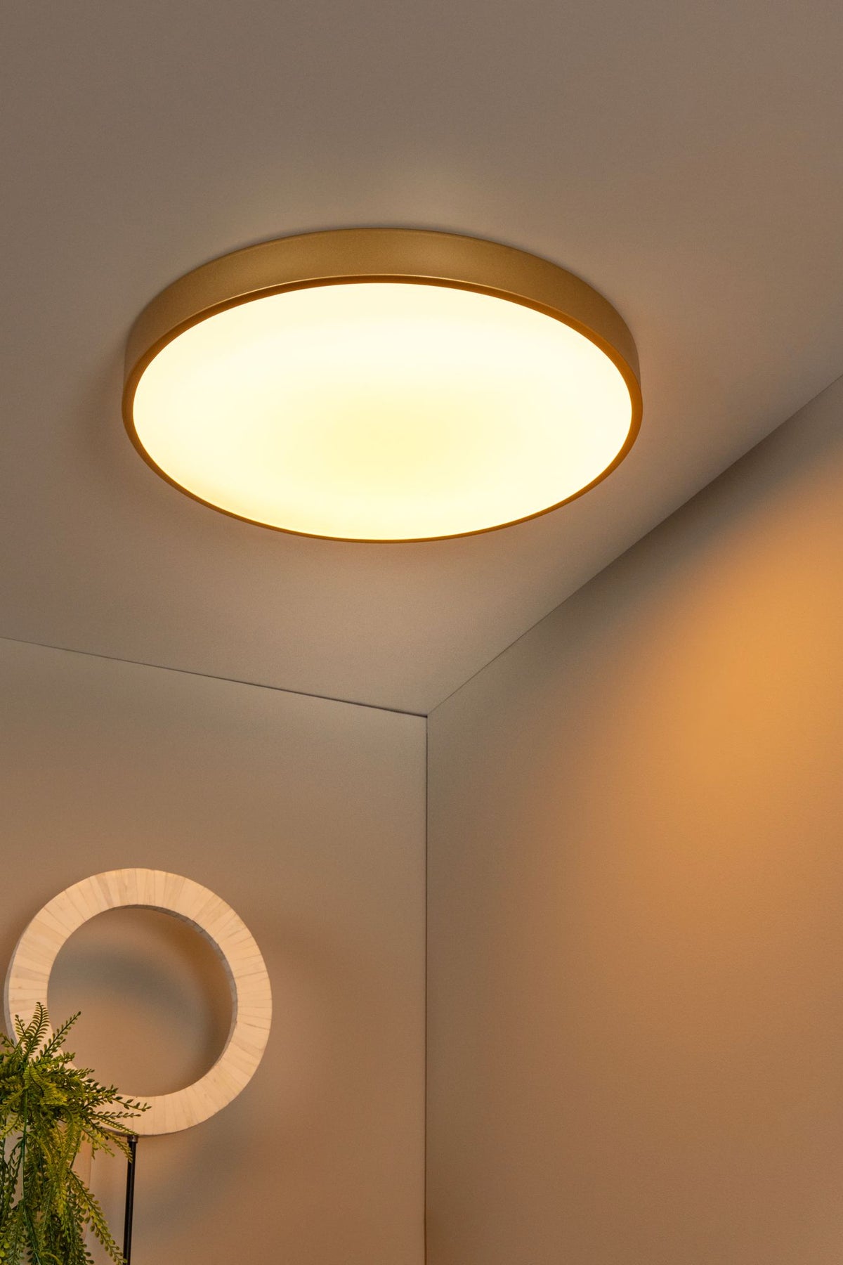 LED-Plafonnier Unar à 3 niveaux de gradation Ø 49,5 cm (4)
