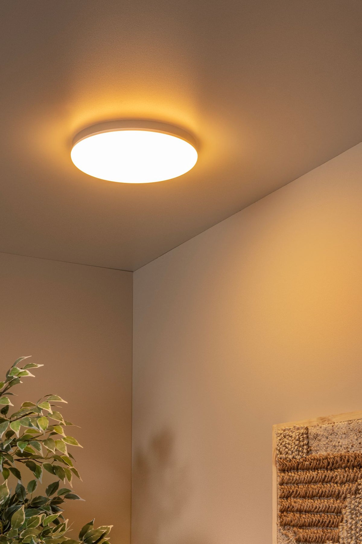 LED-Bad-Deckenleuchte Olson CCT IP44 Ø 29cm Opal (1)