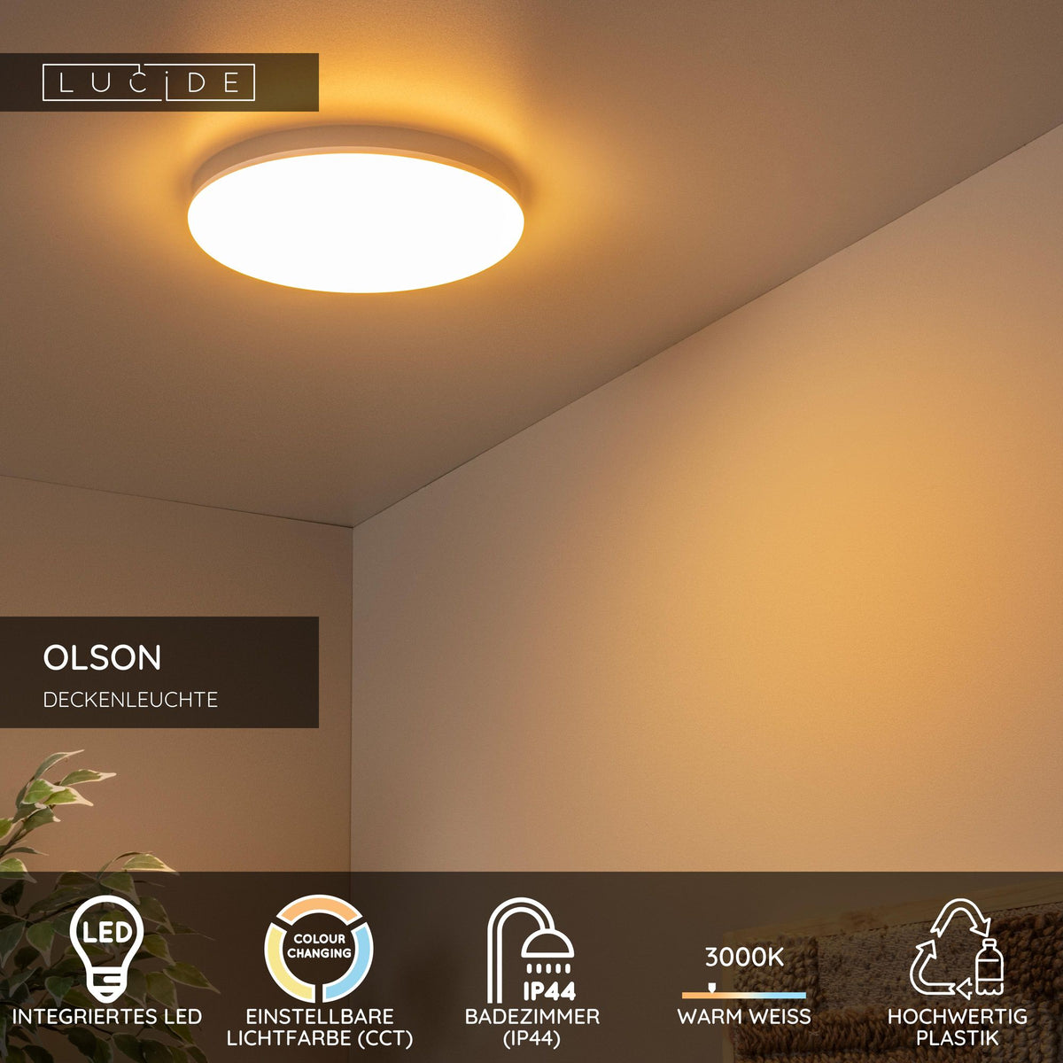 LED-Bad-Deckenleuchte Olson CCT IP44 Ø 29cm Opal (5)