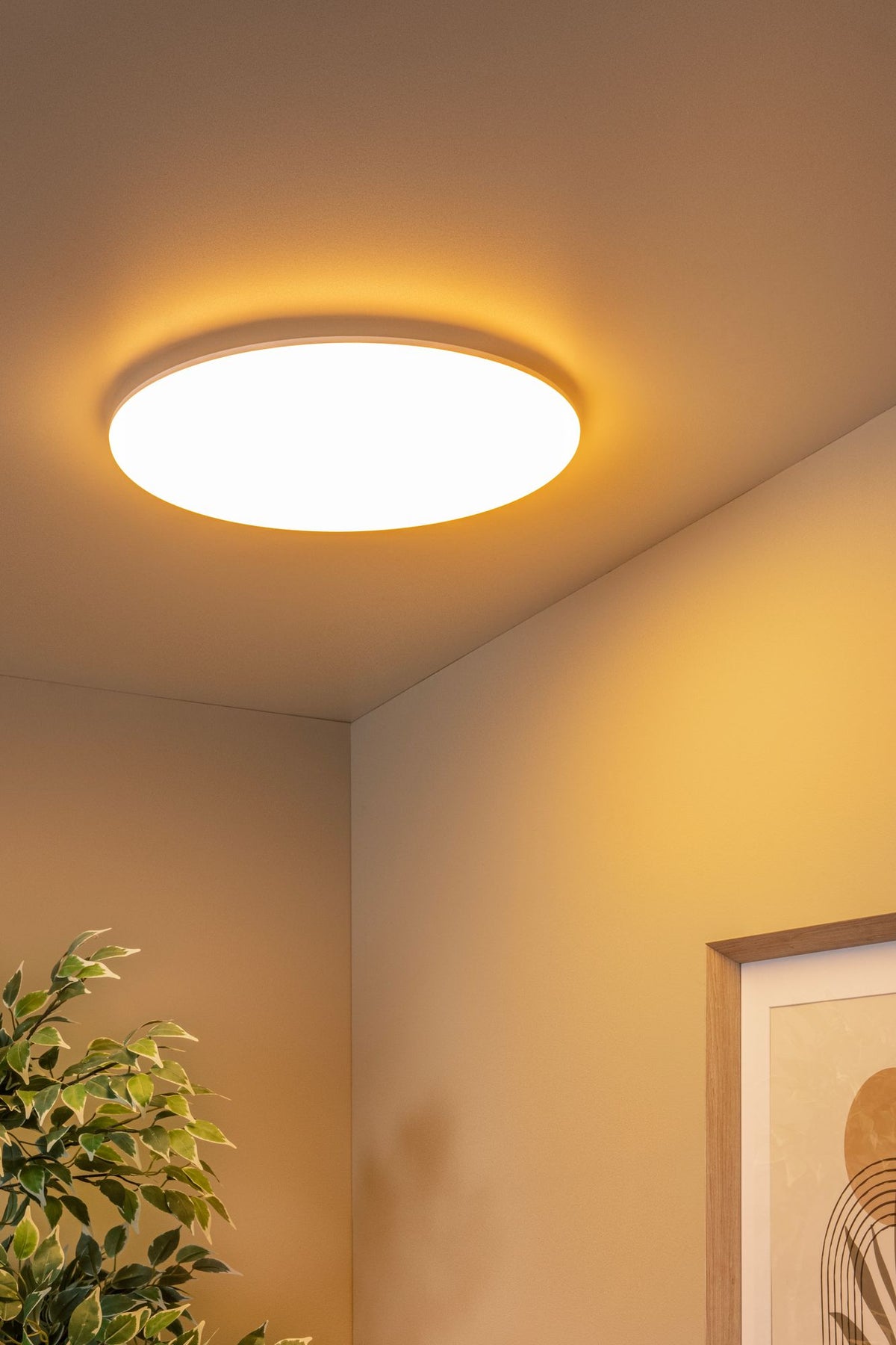 LED-Bad-Deckenleuchte Olson IP44 CCT Ø45cm (1)