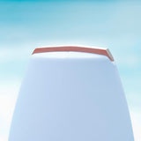 Vessel 2 oplaadbare LED decoratieve lamp met houten handvat & app-bediening
