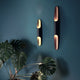 Apo 50 LED-Wandlampe in Gold und Schwarz an einer blauen Wand, dimmbar und modernes Design.