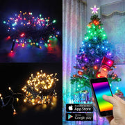 App-styret LED-Mini fe lys farverige og varm hvid IP44 til festlig dekoration og smartphone kontrol.
