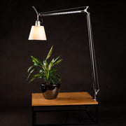 Artemide Tolomeo Basculante Tischlampe Ø 18cm Pergament, flexible Design-Tischleuchte mit Pergamentschirm