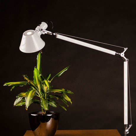 Artemide Tolomeo Tavolo Schreibtischleuchte, weiß und schwarz, verstellbarer Arm, beleuchtet Pflanze, Seitenansicht