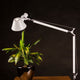 Artemide Tolomeo Tavolo Body Körper