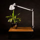 Artemide Tolomeo LED Tavolo Tischleuchte Sensor oder Schalter