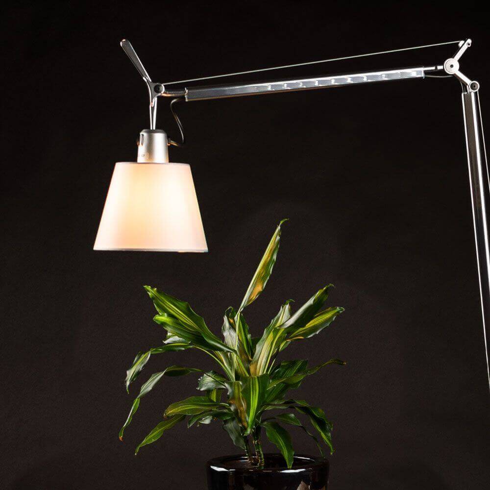 Tolomeo Lettura Basculante Stehleuchte online kaufen skapetze
