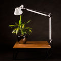 Artemide Tolomeo Tavolo Tischleuchte in Weiß mit Pflanze auf Holztablett, ideal für Büro und Arbeitszimmer.