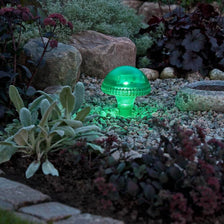Lámpara LED solar en forma de hongo Assisi verde en un parterre con plantas y piedras.