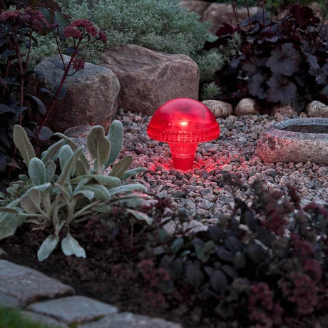 Assisi Mushroom Solar LED Rødt lys skinner rødt og dekorerer haven med et moderne design.