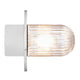 Außendeckenlampe Januka IP54 in modernem Design mit klarem Glas und metallischer Halterung.