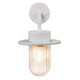 Außenwandlampe Januka IP54 mit geripptem Glasdiffusor und elegantem Design.
