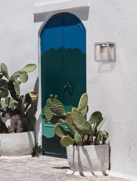 Bev LED outdoor wall light 3000K grey IP65 next to a Mediterranean door and cacti in the foreground.
