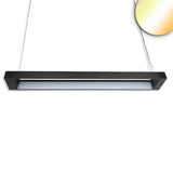 LED Pendulum Lamp Lamp Black CCT