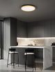 Cantria LED Deckenleuchte 3000K Schwarz, Gold (2)