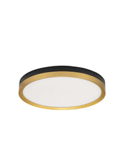 Cantria LED ceiling light 3000K Black, Gold with elegant design and uniform light distribution.