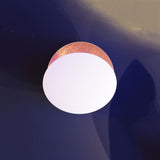 Catellani & Smith Lederam WF 17 LED Wall Lamp