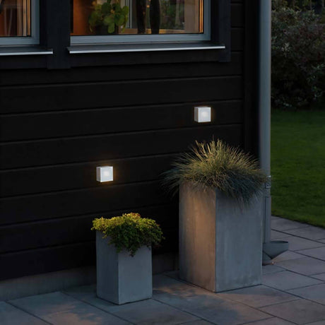 Chieri LED Außenwandlampe IP54 montiert an der Wand, mit Pflanzen in modernen Töpfen im Außenbereich.