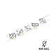 CorDuo Seilsystem Cardan Basis-Set Chrom-Matt mit Spots an Seil montiert