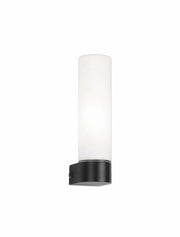 Corb wall light Black, White IP44 - matte black mirror light for bathrooms with IP44 protection.
