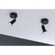 Wandstrahler Spot Carolina in Schwarz und Chrom, modernes Design für vielseitige Wohnräume.