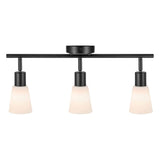 Deckenstrahler Cole 3-Spot