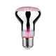 E27 6,5W LED Grow-Lampe Edition 1300K Reflektor Filament