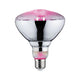 E27 6,5W LED Grow-Lampe Edition Reflektor Filament 1300K Wachstumslicht