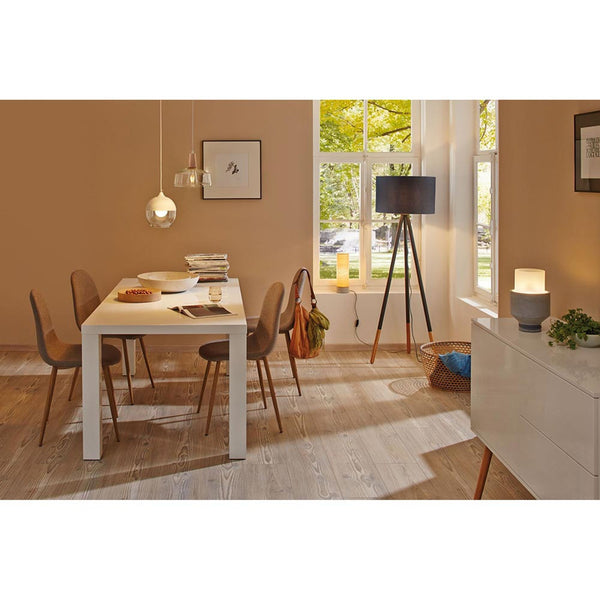 E27 LED 9W Birne Filament 2700K Dimmbar Matt für warmweißes Licht im Wohnraum, mattiertes Glas, sichtbare Filament-Optik