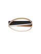 Elize LED Deckenleuchte Halbrund 2-flammig 3000K Schwarz, Gold im modernen Design mit ovaler Form.